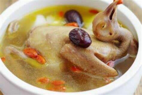 Pigeon Soup Ginseng