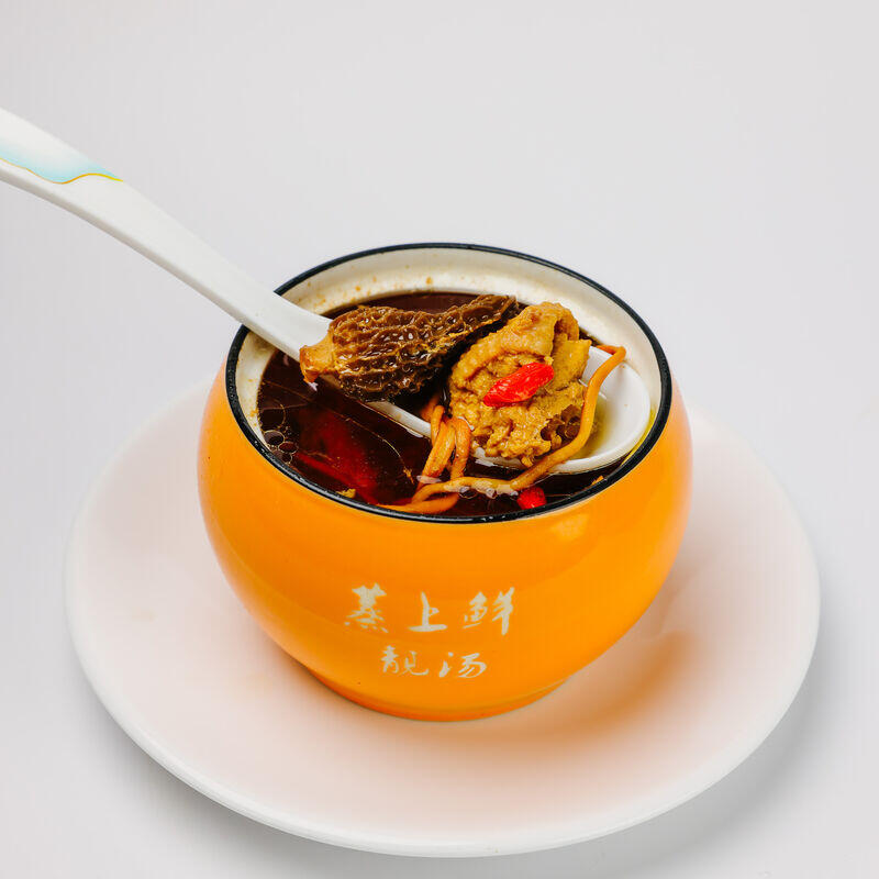 Chicken Soup Morel Mushroom